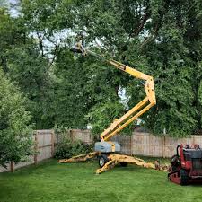 Best Lawn Irrigation Installation and Maintenance  in Exmore, VA