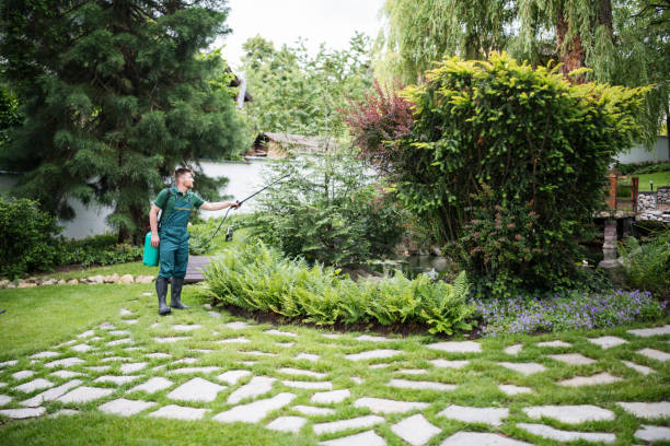 Best Landscape Design and Installation  in Exmore, VA
