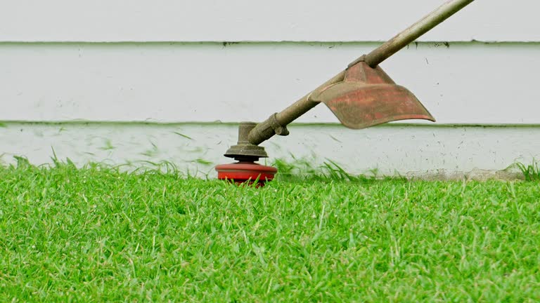 Best Lawn Pest Prevention  in Exmore, VA