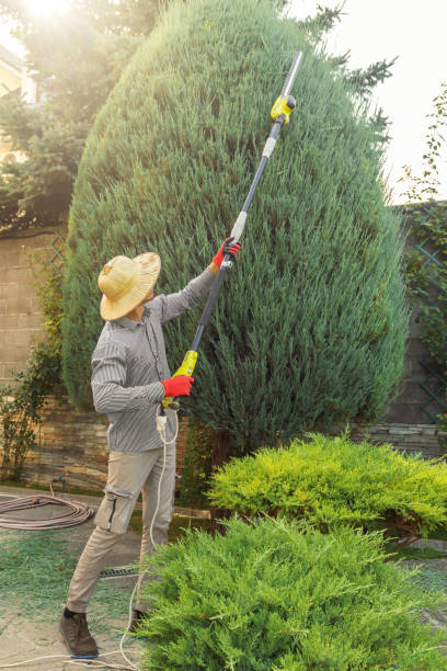 Lawn Watering Services in Exmore, VA